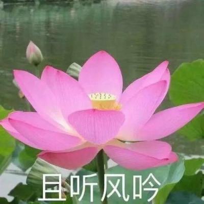 乾坤百炼官方手游下载